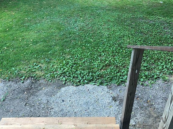 Back steps