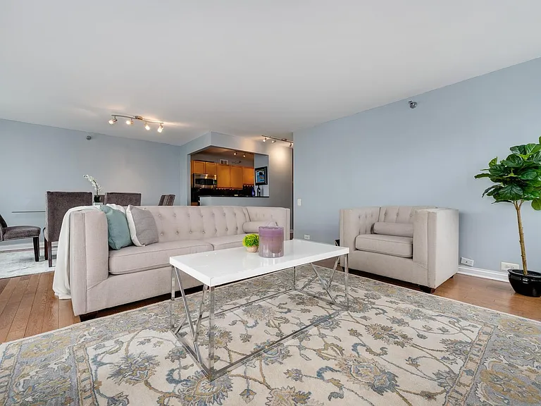 474 N Lake Shore Dr #5502 — Photo 4
