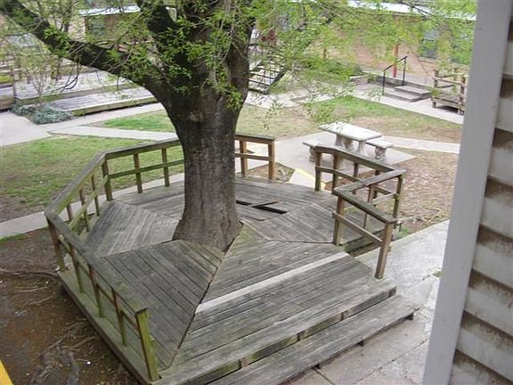 Tree Seating