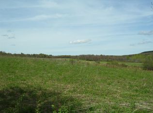 Pitcher Springs Rd, Pitcher, NY 13801