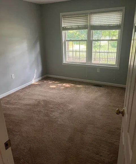 121 Amherst Ln — Photo 12