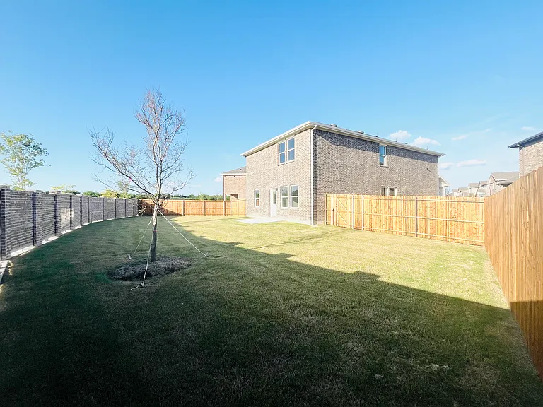 Large Backyard - Left View