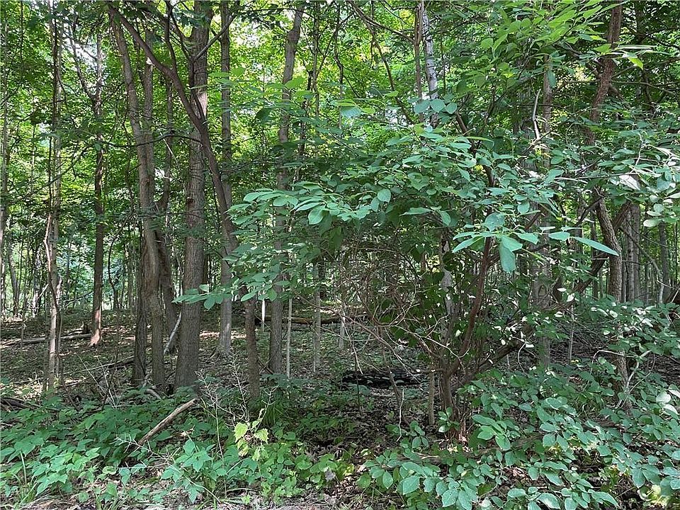 1st image of 6728 Cardinal Dr