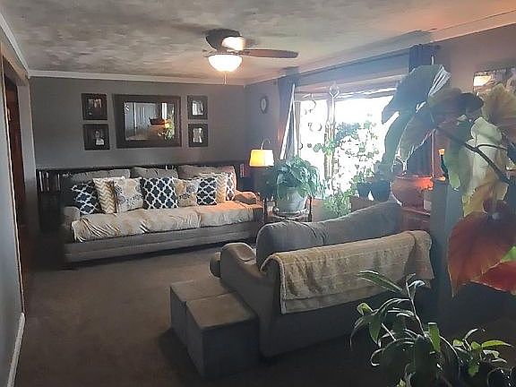 Living room from hallway