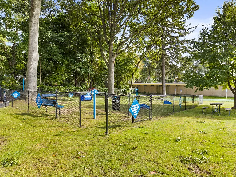 Dog Park