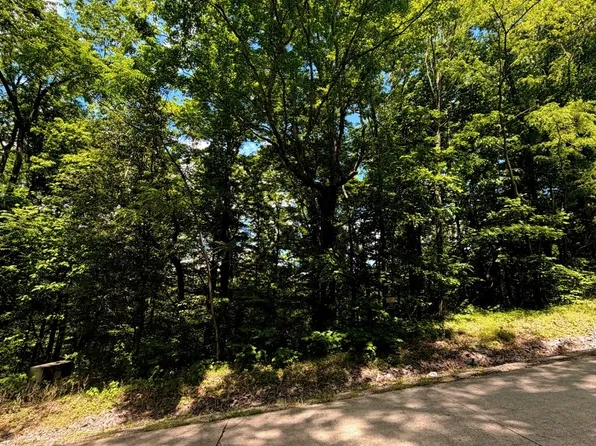 33 Swiper Dr Lot 33, Smithville, TN 37166