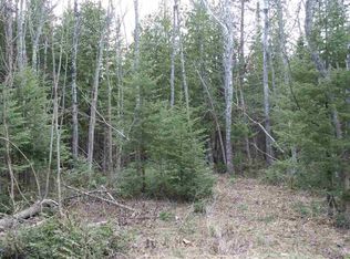 S Sullivan Rd, Cedar, MI 49621