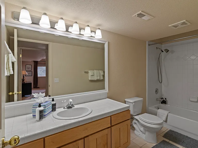 Bathroom 2 / Combo Tub/Shower