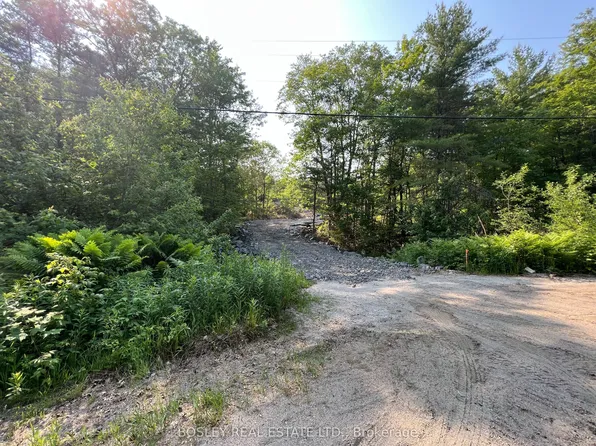1874 Highway 11 N, Town Of Gravenhurst, ON P0E 1N0
