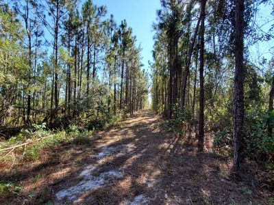 0 Brown Rd, Lee, FL, 32059