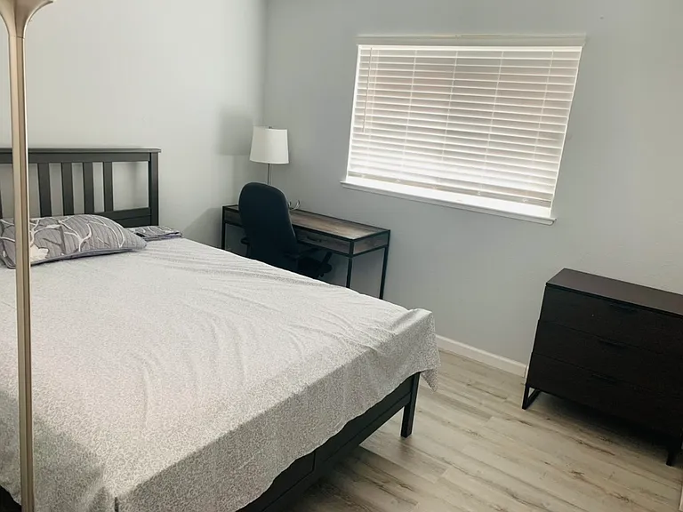 529 Shell Dr — Photo 12