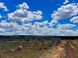 13 County Road 8122, Concho, AZ 85924