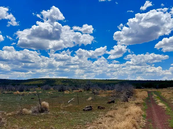 13 County Road 8122, Concho, AZ 85924