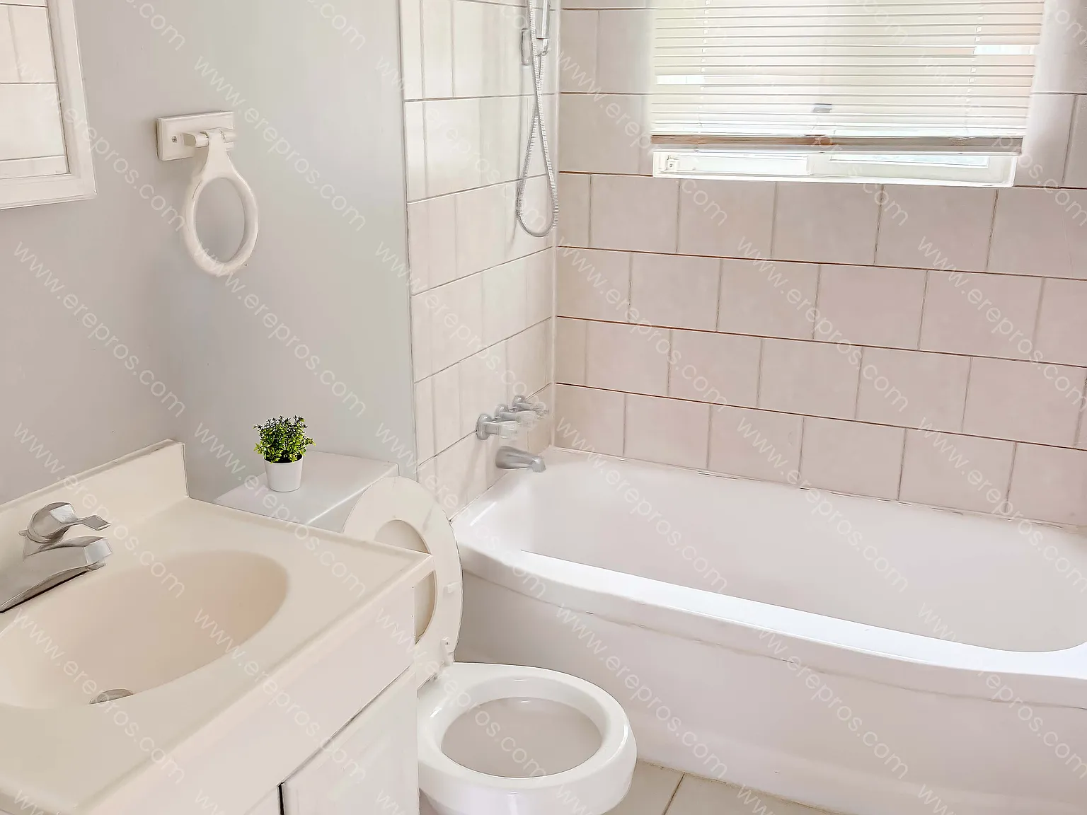 2 bed, 650 sqft, $850 — Photo 4