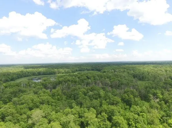 Eagle Claw Dr NE, Remer, MN 56672