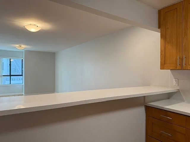 1 bed, 700 sqft, $4,250 — Photo 4