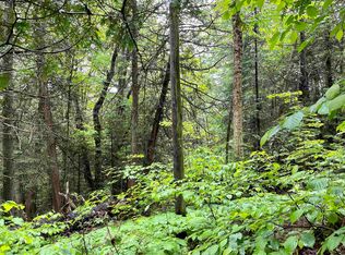 0 Route 114 Hwy, East Burke, VT 05832
