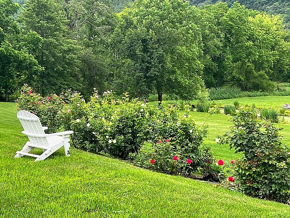 Looking toward the pond