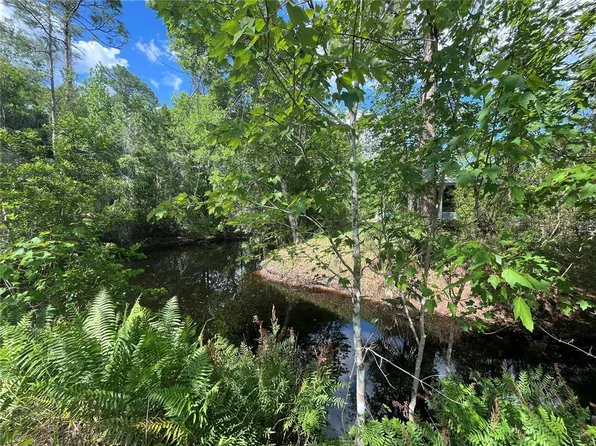 115 Cove Rd, Satsuma, FL 32189