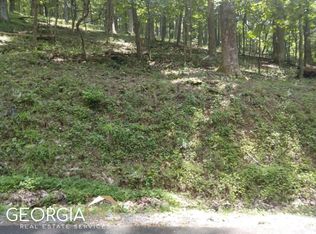 M213 Walnut Rdg #M213, Ellijay, GA 30536