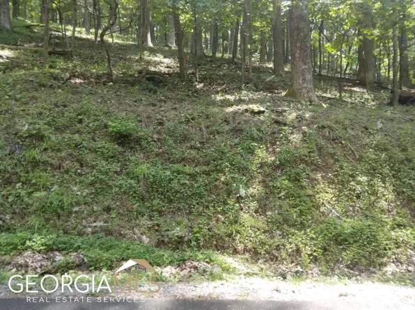 M213 Walnut Rdg #M213, Ellijay, GA 30536