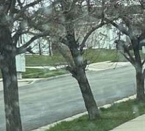 Exterior Neighborhood (street photo)