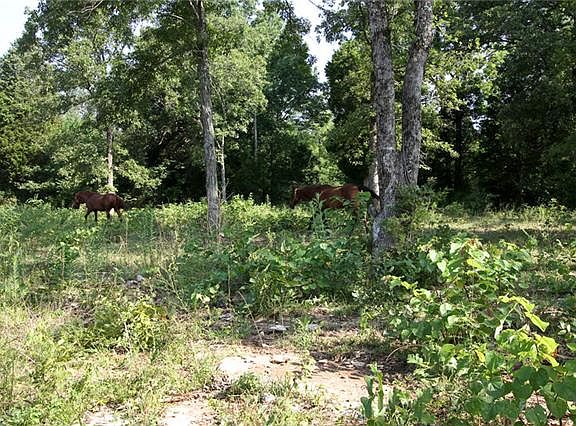 3rd image of 3503 Highway 431