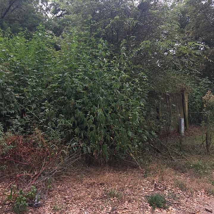 1st image of LOT 1 Gatewood Dr
