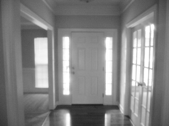 2nd image of 4423 Dave Macdonald Dr