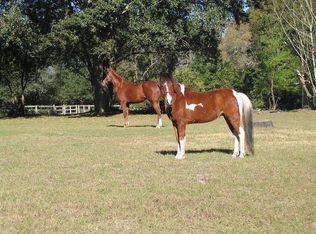 16520 Wb Pritchett Ln, Lutz, FL 33549