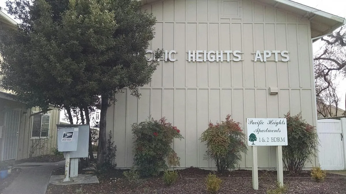 4455 Pacific St — Photo 3
