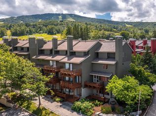 34 Mountain Reach Mews Rd, West Wardsboro, VT 05360