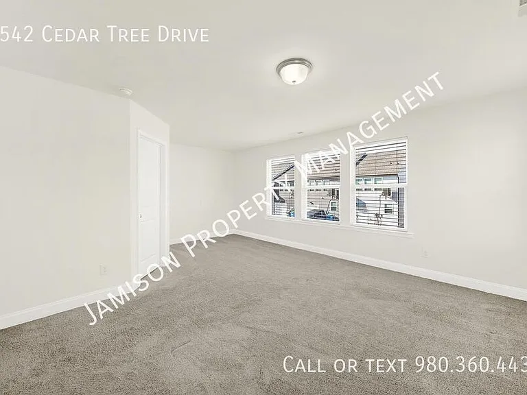 1542 Cedar Tree Dr — Photo 18