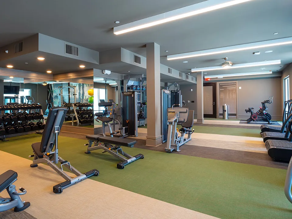 Elevate your workout routine