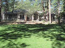 Woods surrounding Home