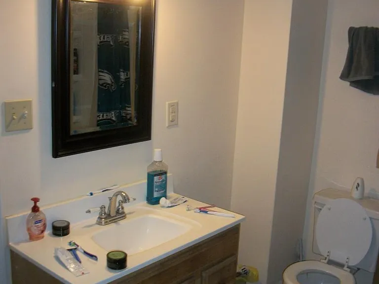 Bathroom 2 (Pic 2 of 2)