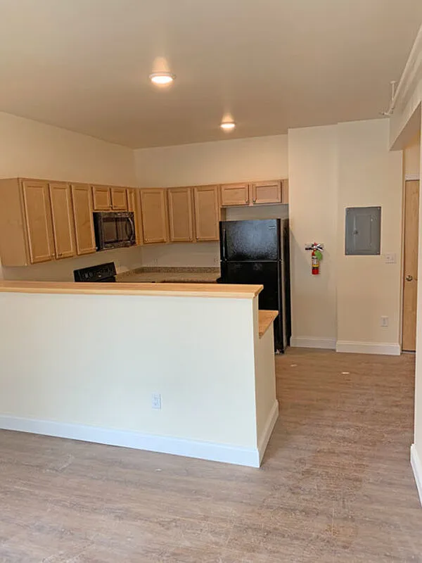 3 bed, 1.0 bath, $3,510 — Photo 4