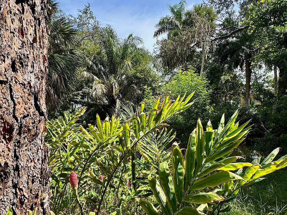 SWFL Flora & Fauna