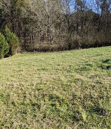 4th image of Marble Bluff Drive Kingston Tn 37763