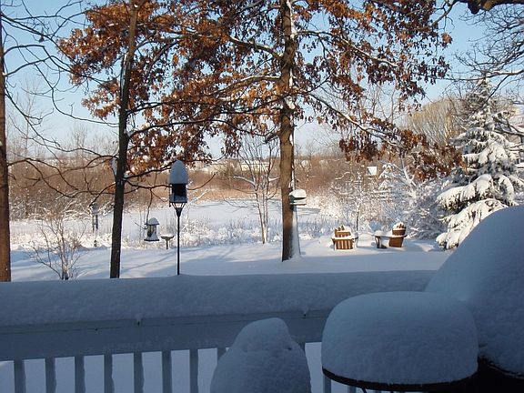 winter wonderland