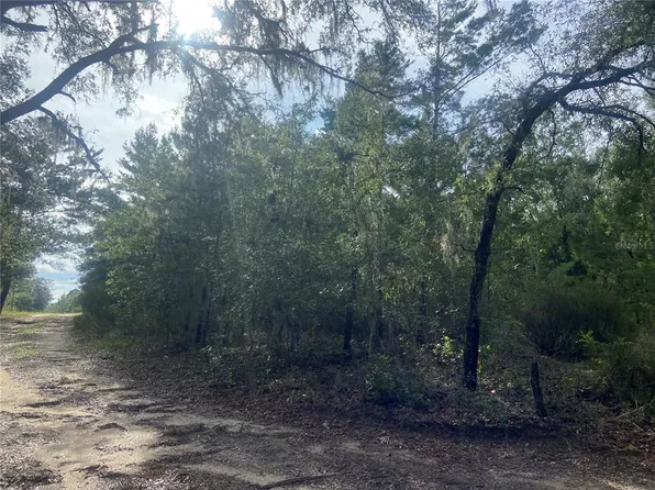 NE 116th St, Bronson, FL 32621