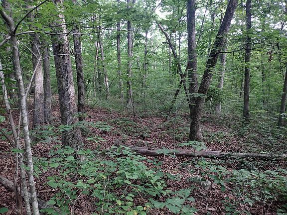 2nd image of 0 Iron Mountain Rd