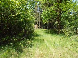 0 Butter Creek Ln LOT 4, Packwood, WA 98361