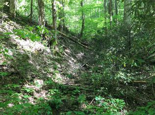 Black Walnut Flats Rd, Sevierville, TN 37862