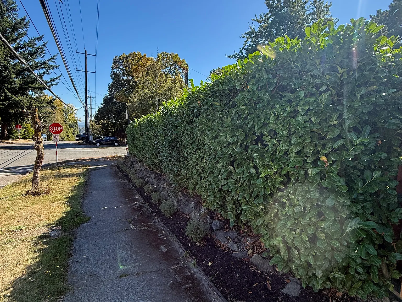 3 bed, 1350 sqft, $2,750 — Photo 4