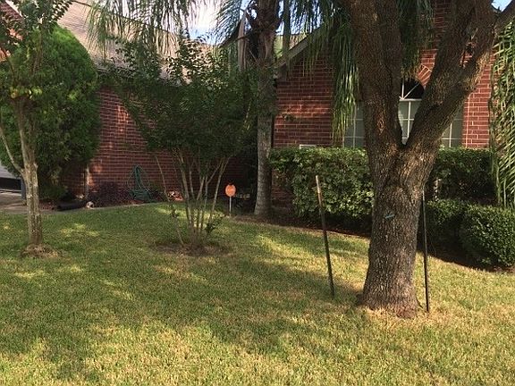Front of home with Palm trees