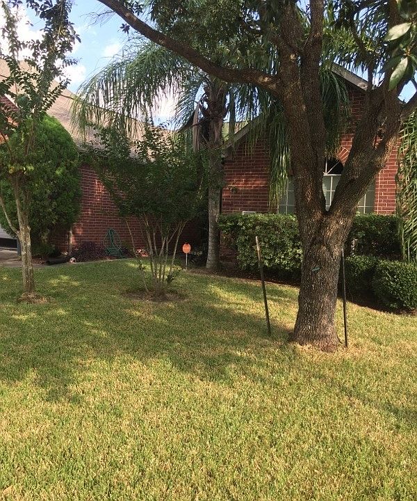 Front of home with Palm trees