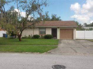 5131 Linkwood Ave, Tampa, FL 33625
