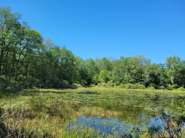 Lots 1 9 Cranberry St, Wellston, MI 49689