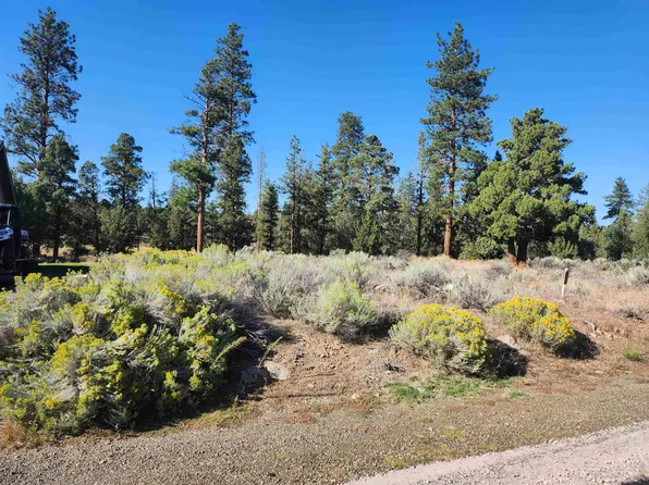 LOT 273 Riverside Dr, Weed, CA 96094